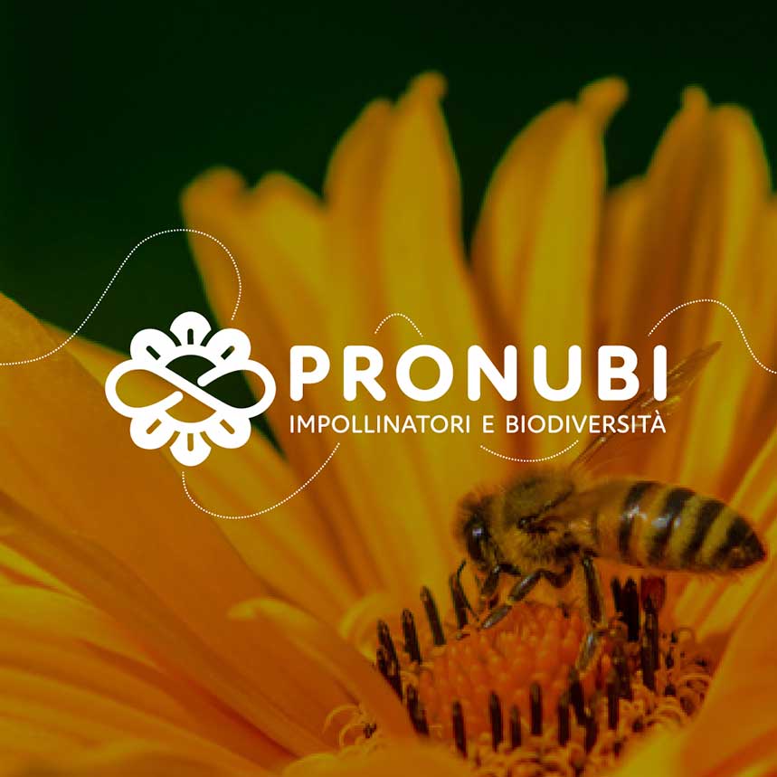Logo_design_Pronubi_progettazione_grafica